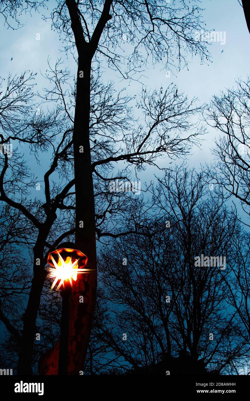 View on park with bare trees in winter with one street lamp with ...