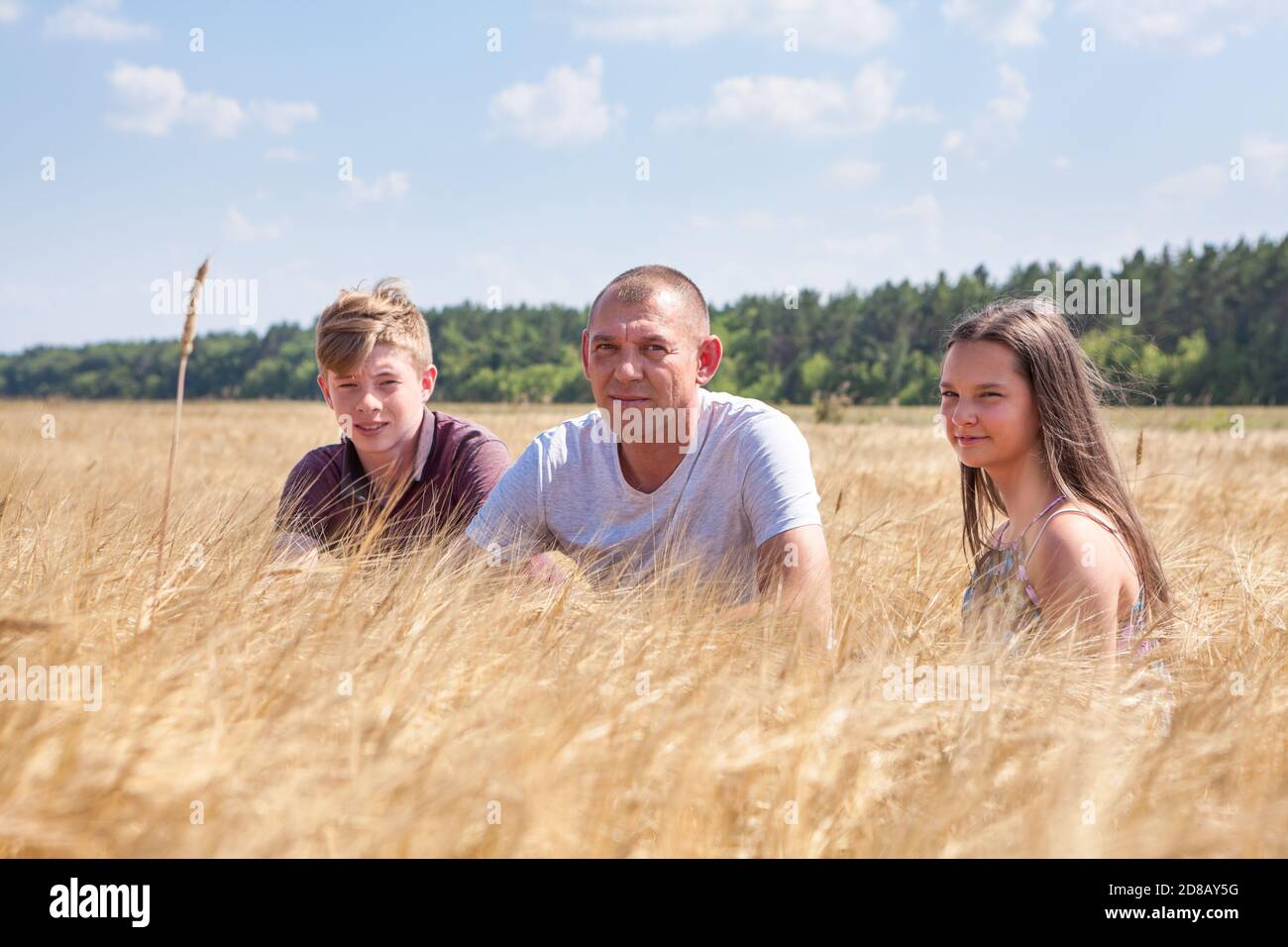 Single father with son and daughter sitting in golden wheat field at harvesting season Stock Photo