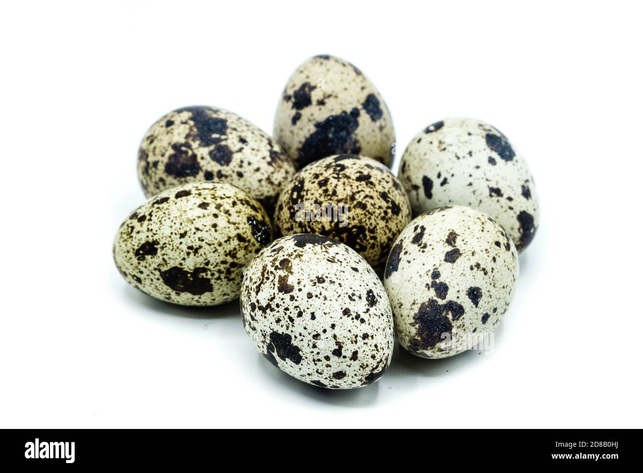 Quail egg isolated on white background Stock Photo