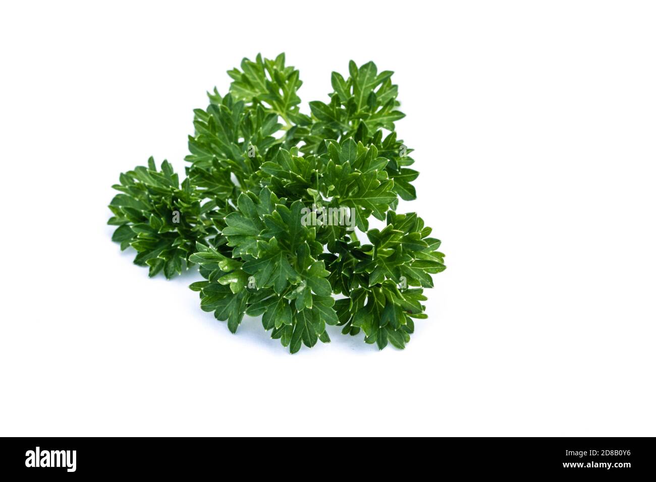 Parsley isolated on white background Stock Photo