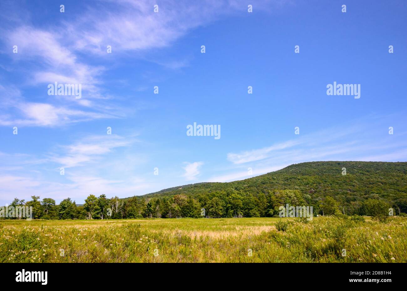 Canaan Valley National Wildlife Refuge Stock Photo Alamy