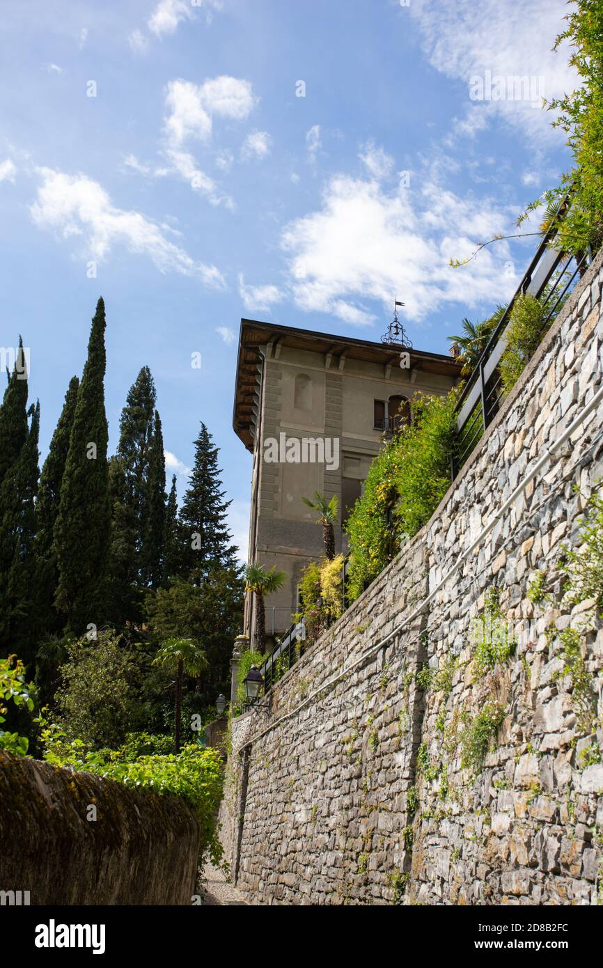 Green climbing ivy covers garden wall in Italy Stock Photo Alamy