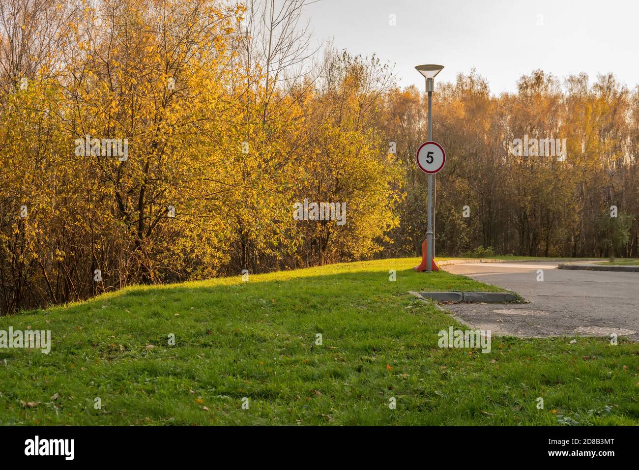 Road sign near a lantern on a background of an autumn yellow forest with the number pa, autumn meadow, green grass bright sunlight asphalt road in the Stock Photo