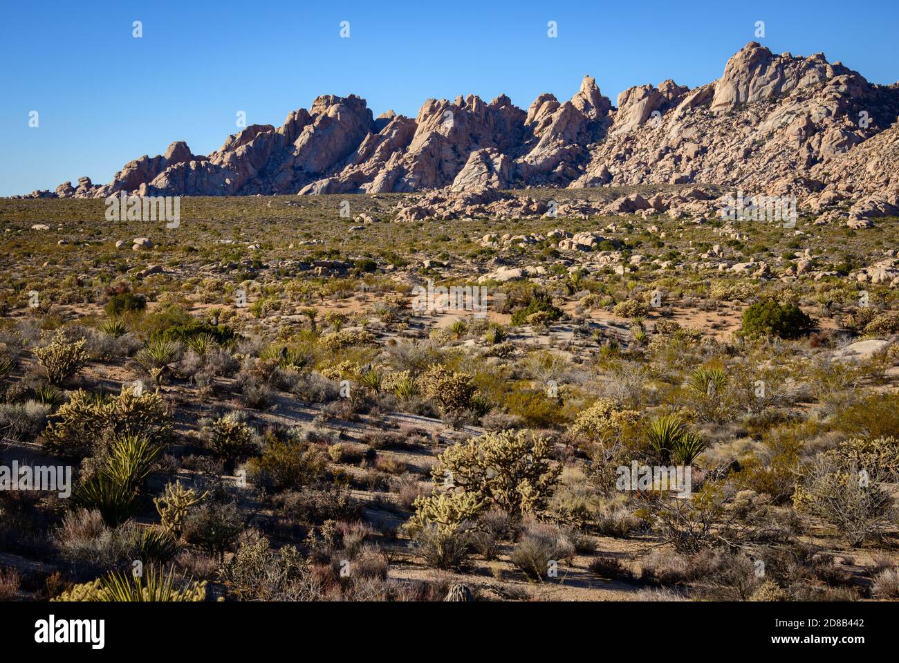 Mojave National Preserve Stock Photo Alamy