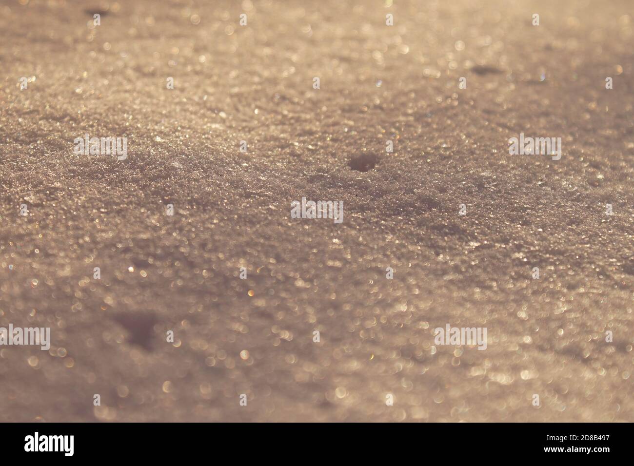 Sparkling snow with warm sunlight for background. Stock Photo