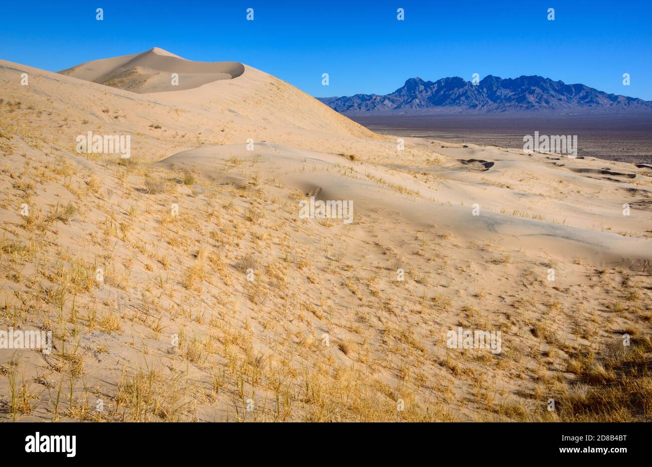 Mojave National Preserve Stock Photo Alamy