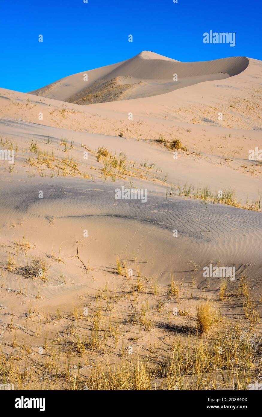 Mojave National Preserve Stock Photo Alamy