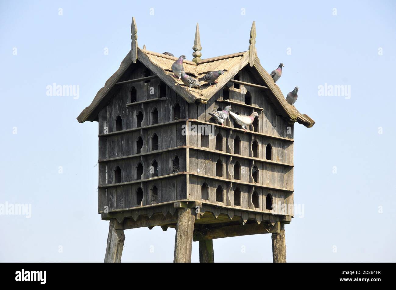 dovecote, Hortobágy, Hajdú-Bihar County, Hungary, Magyarország, Europe, Hortobágy National Park Stock Photo