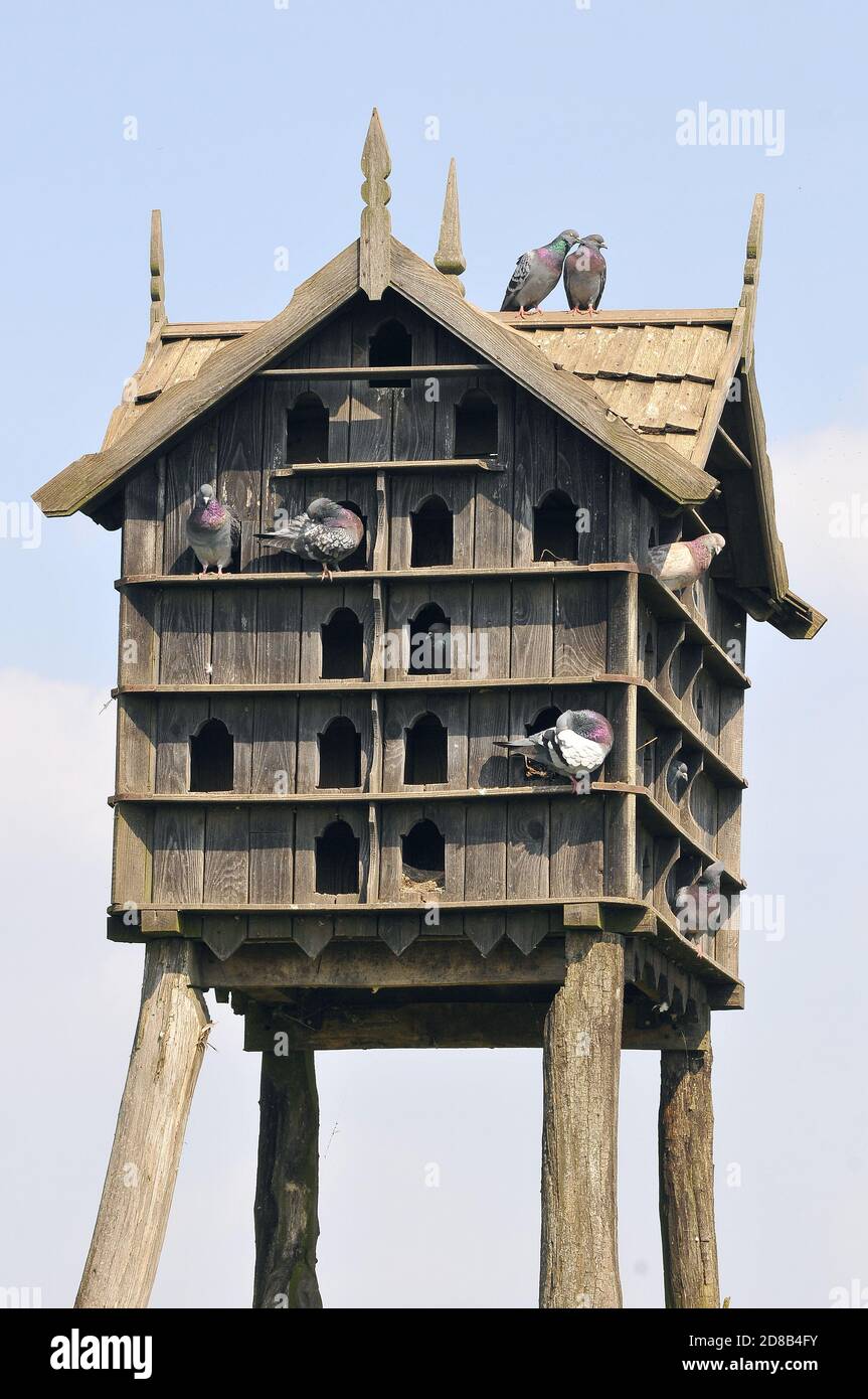 dovecote, Hortobágy, Hajdú-Bihar County, Hungary, Magyarország, Europe, Hortobágy National Park Stock Photo