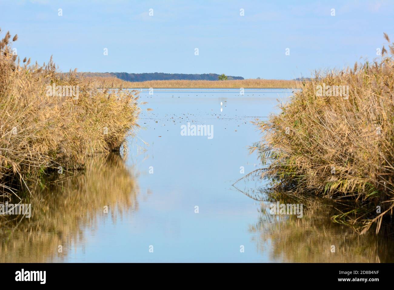 Hortobágy fishponds, Hortobágy, Hajdú-Bihar County, Hungary, Magyarország, Europe, Hortobágy National Park Stock Photo