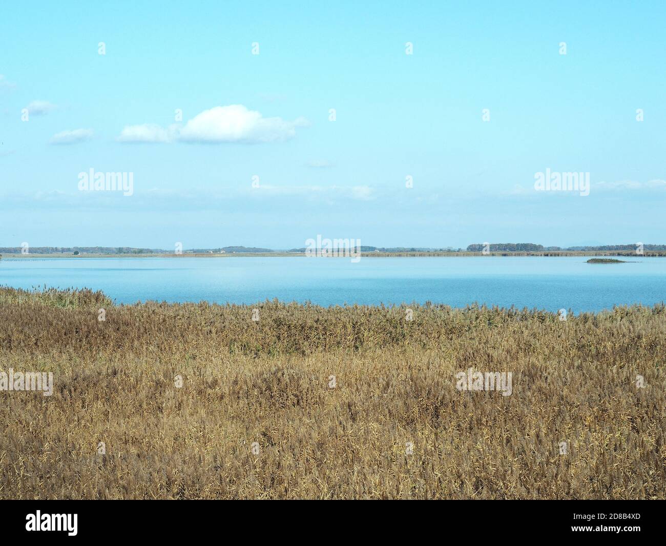 Hortobágy fishponds, Hortobágy, Hajdú-Bihar County, Hungary, Magyarország, Europe, Hortobágy National Park Stock Photo