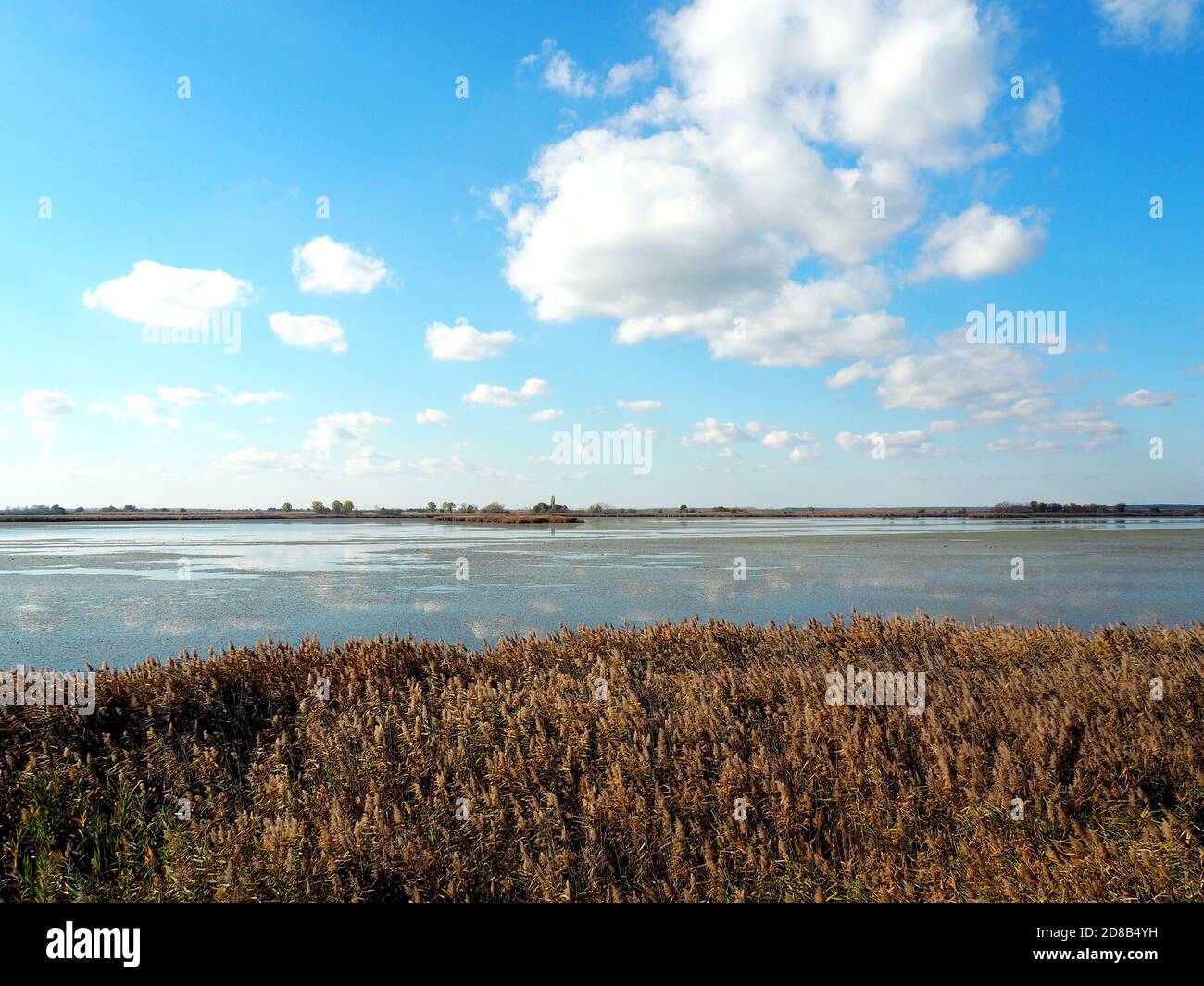 Hortobágy fishponds, Hortobágy, Hajdú-Bihar County, Hungary, Magyarország, Europe, Hortobágy National Park Stock Photo