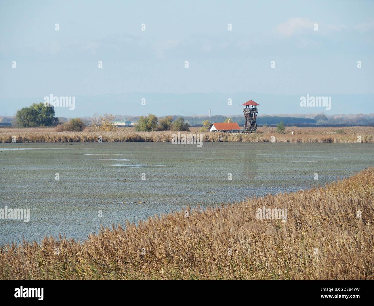 Hortobágy fishponds, Hortobágy, Hajdú-Bihar County, Hungary, Magyarország, Europe, Hortobágy National Park Stock Photo