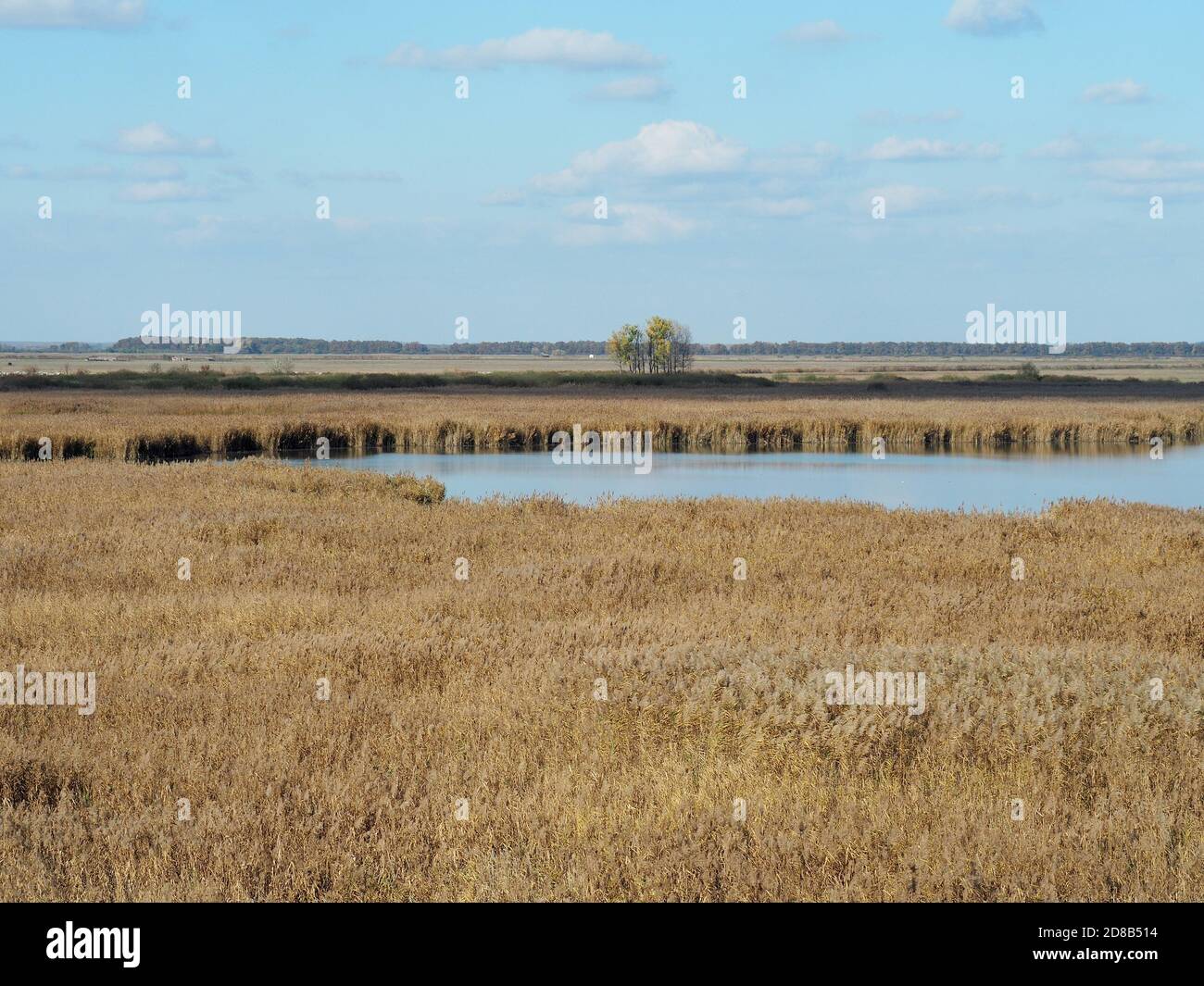 Hortobágy fishponds, Hortobágy, Hajdú-Bihar County, Hungary, Magyarország, Europe, Hortobágy National Park Stock Photo