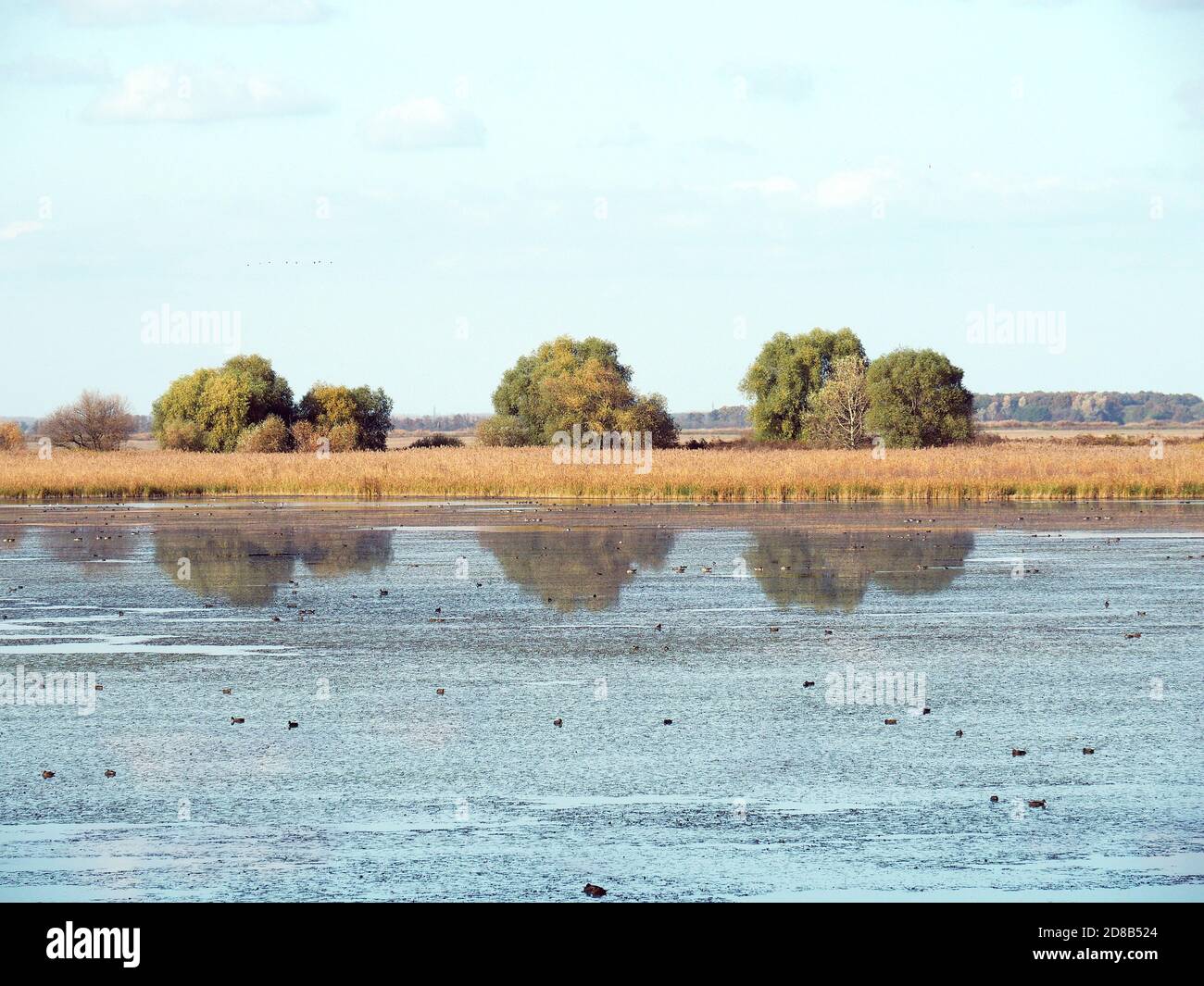 Hortobágy fishponds, Hortobágy, Hajdú-Bihar County, Hungary, Magyarország, Europe, Hortobágy National Park Stock Photo