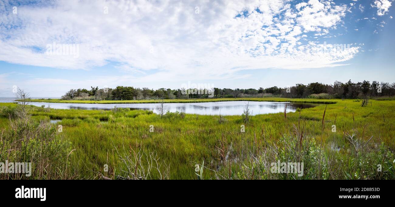 Panoramic landscape view of a tidal pond at Island Beach State Park, New Jersey, USA Stock Photo