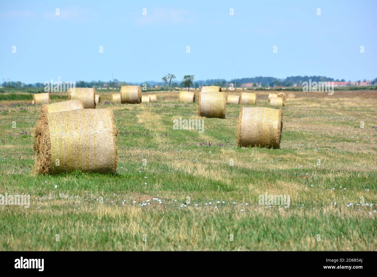 straw bales, Hortobágy, Hajdú-Bihar County, Hungary, Magyarország, Europe, Hortobágy National Park Stock Photo