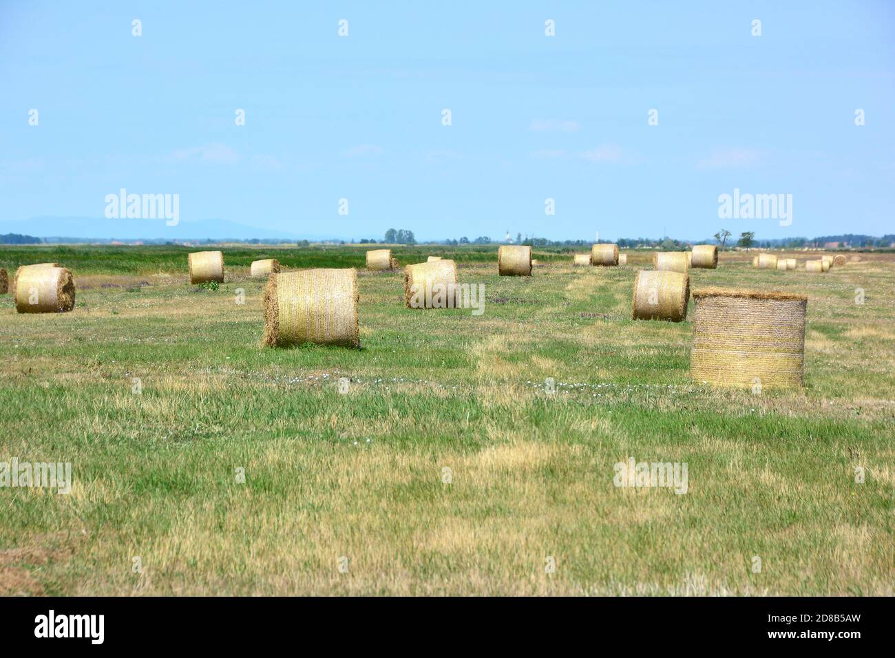 straw bales, Hortobágy, Hajdú-Bihar County, Hungary, Magyarország, Europe, Hortobágy National Park Stock Photo