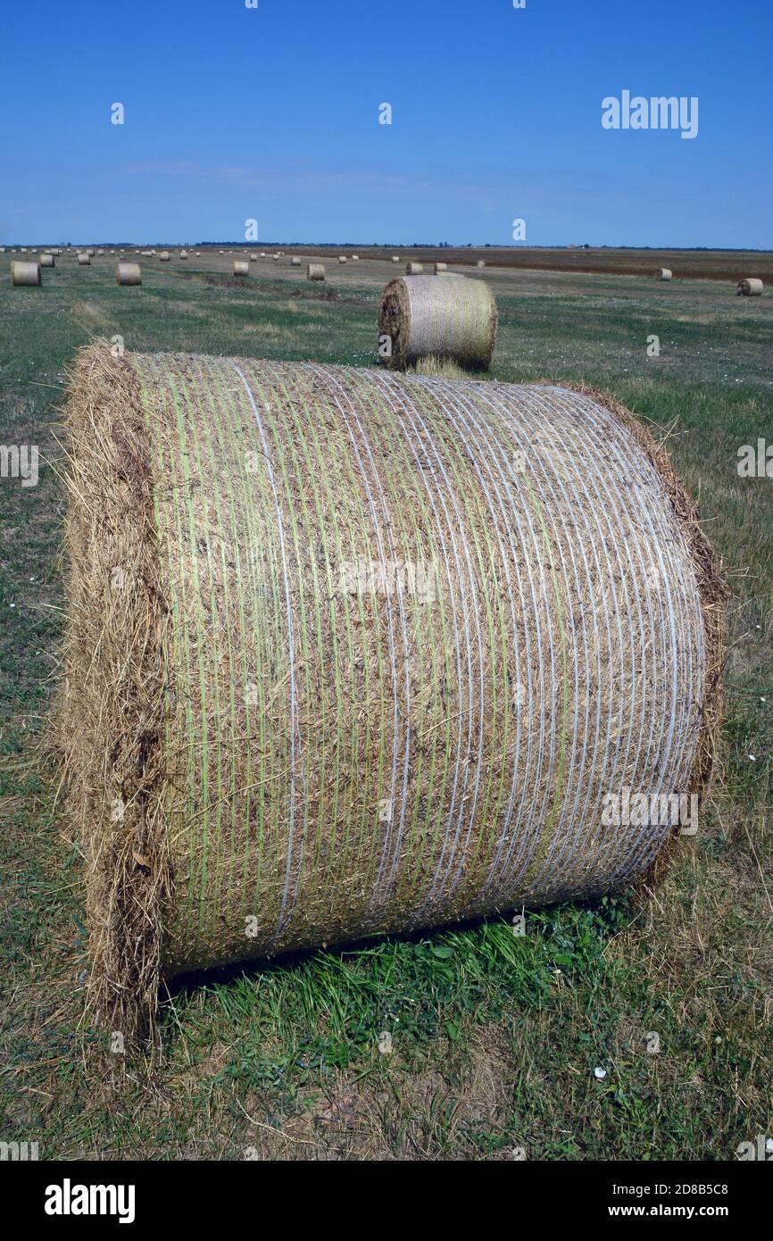 straw bales, Hortobágy, Hajdú-Bihar County, Hungary, Magyarország, Europe, Hortobágy National Park Stock Photo