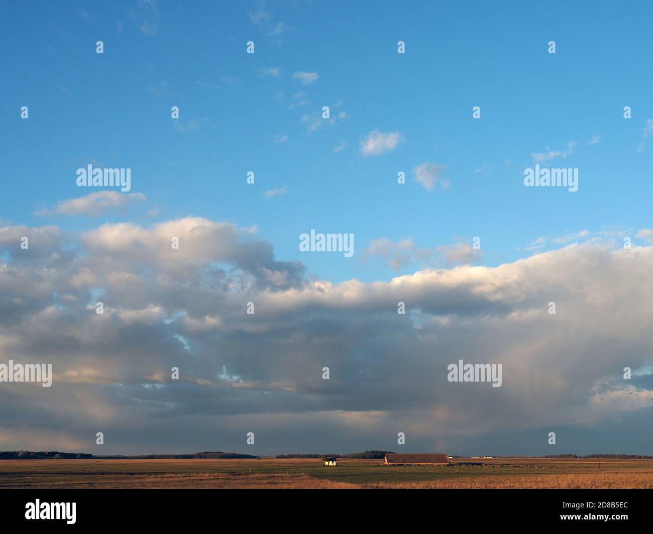 landscape, Hortobágy, puszta, Hajdú-Bihar County, Hungary, Magyarország, Europe, Hortobágy National Park Stock Photo