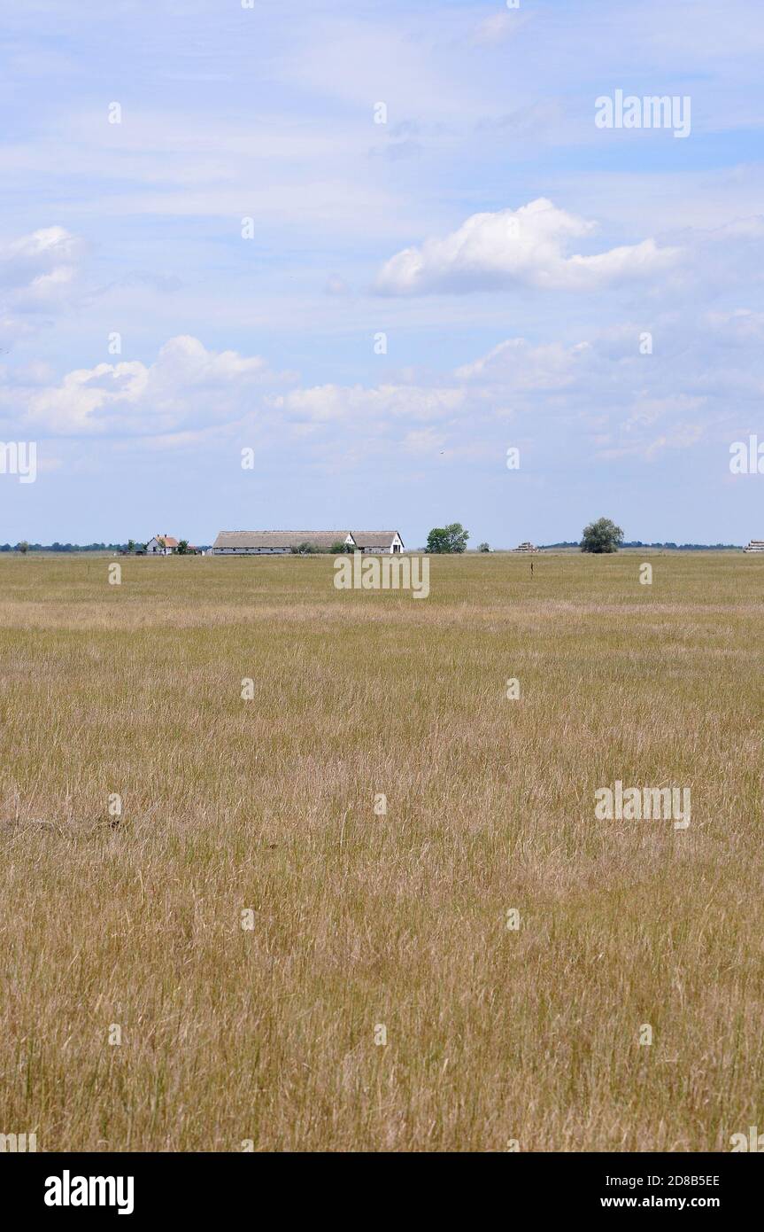 landscape, Hortobágy, puszta, Hajdú-Bihar County, Hungary, Magyarország, Europe, Hortobágy National Park Stock Photo