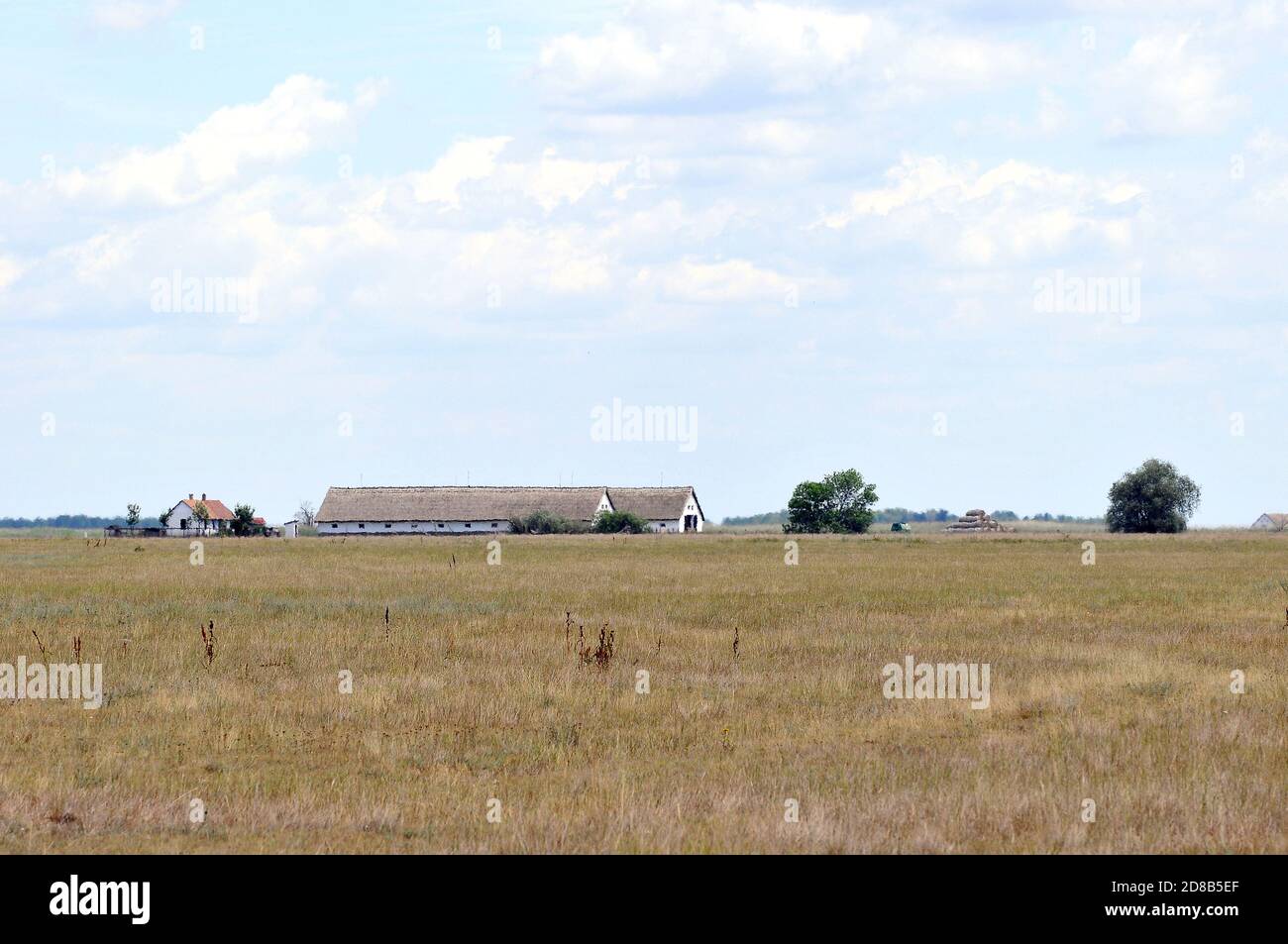 landscape, Hortobágy, puszta, Hajdú-Bihar County, Hungary, Magyarország, Europe, Hortobágy National Park Stock Photo