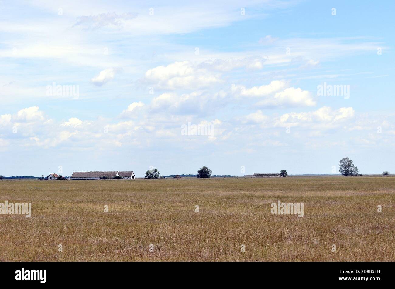 landscape, Hortobágy, puszta, Hajdú-Bihar County, Hungary, Magyarország, Europe, Hortobágy National Park Stock Photo