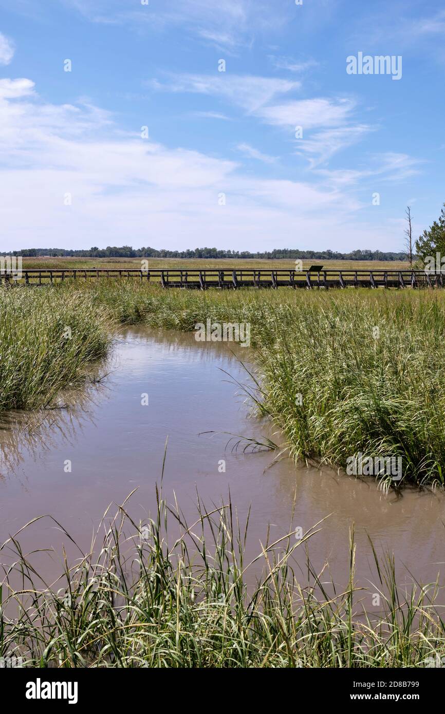 A view from within the St. Jones Reserve, a salt water marsh located near Dover, Delaware. Stock Photo