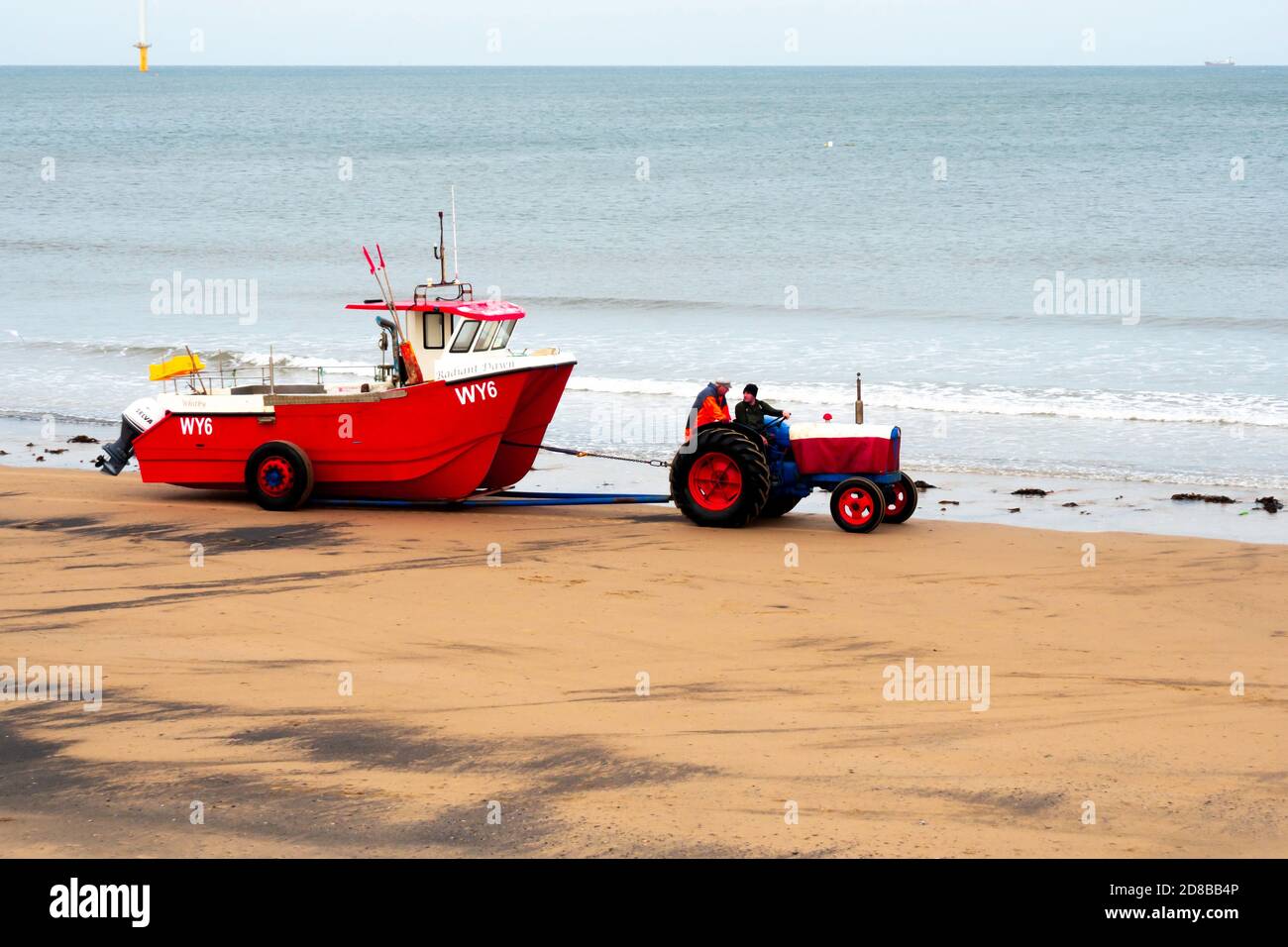 Fisherman driving a tractor hauling their red boat WY6 Radiant Dawn out of the sea Redcar Cleveland  UK Stock Photo
