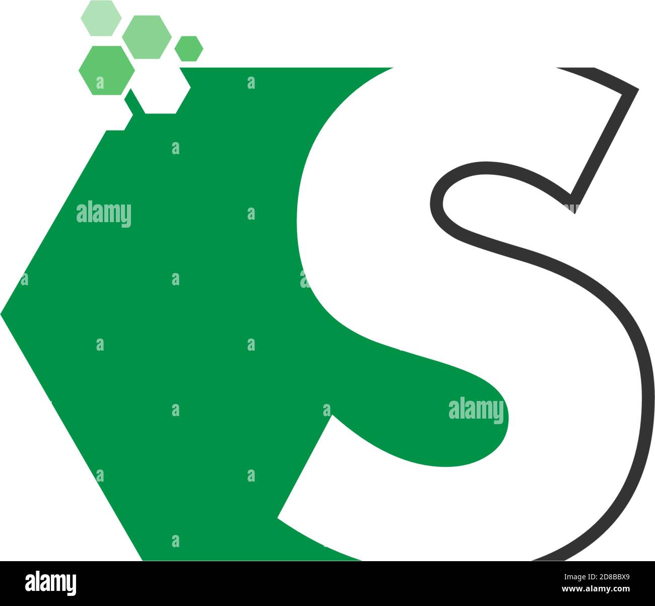 Letter S on hexagon icon design concept Stock Vector