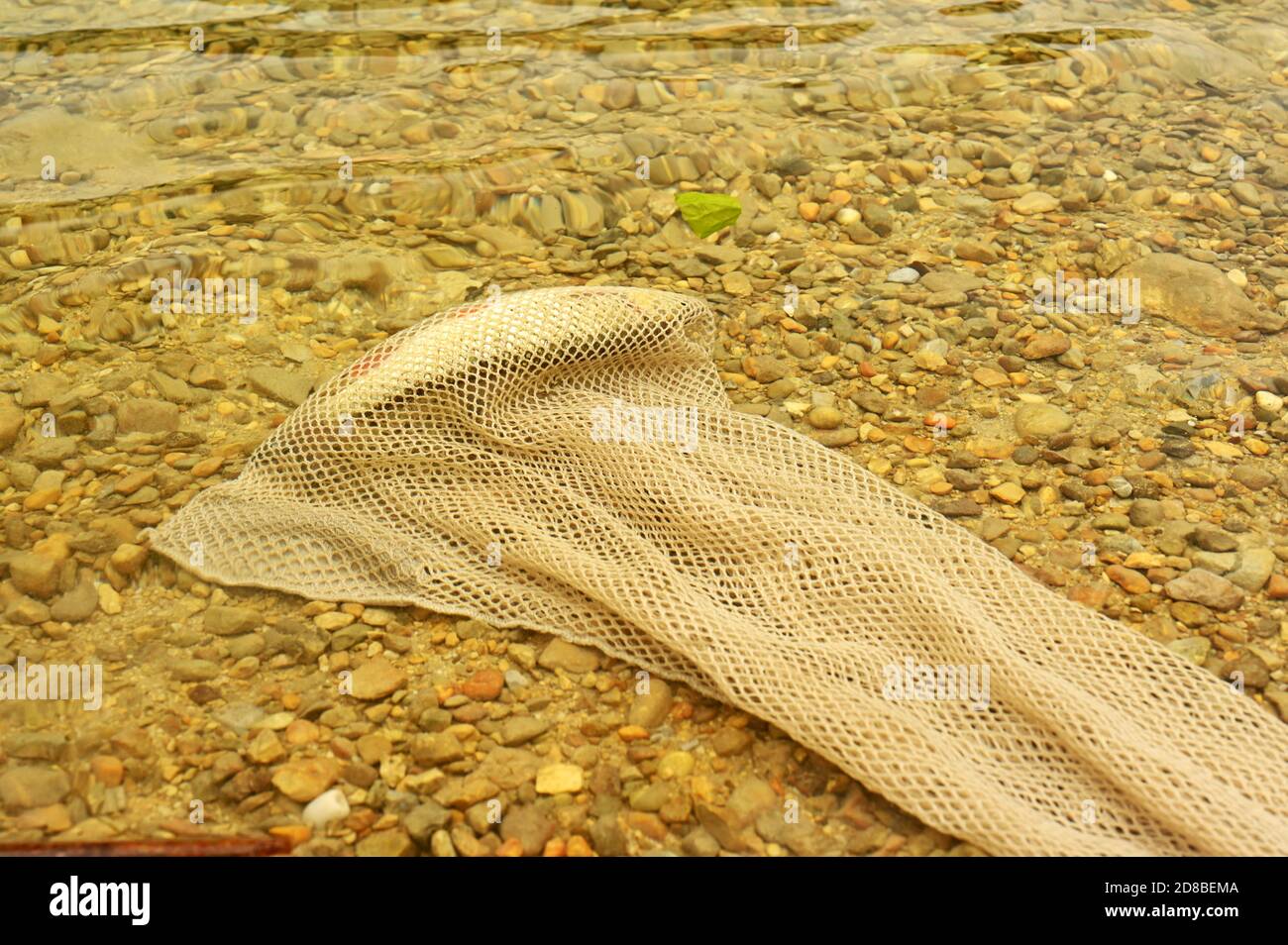 Fish caught in the net hi-res stock photography and images - Page