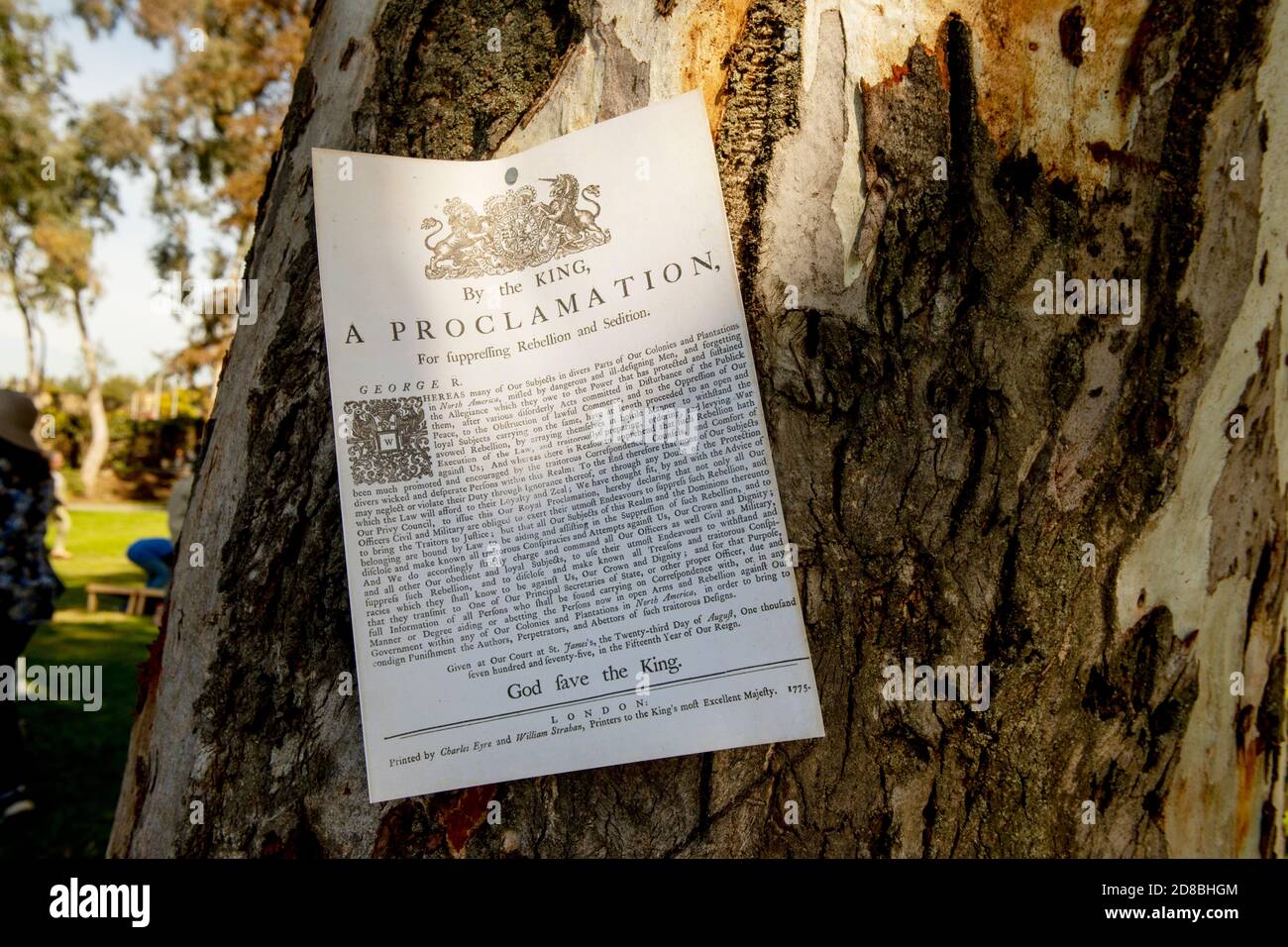 A facsimile of a 1775 proclamation from King George III warning American colonists against revolting against the crown is nailed to a treee at an Amer Stock Photo