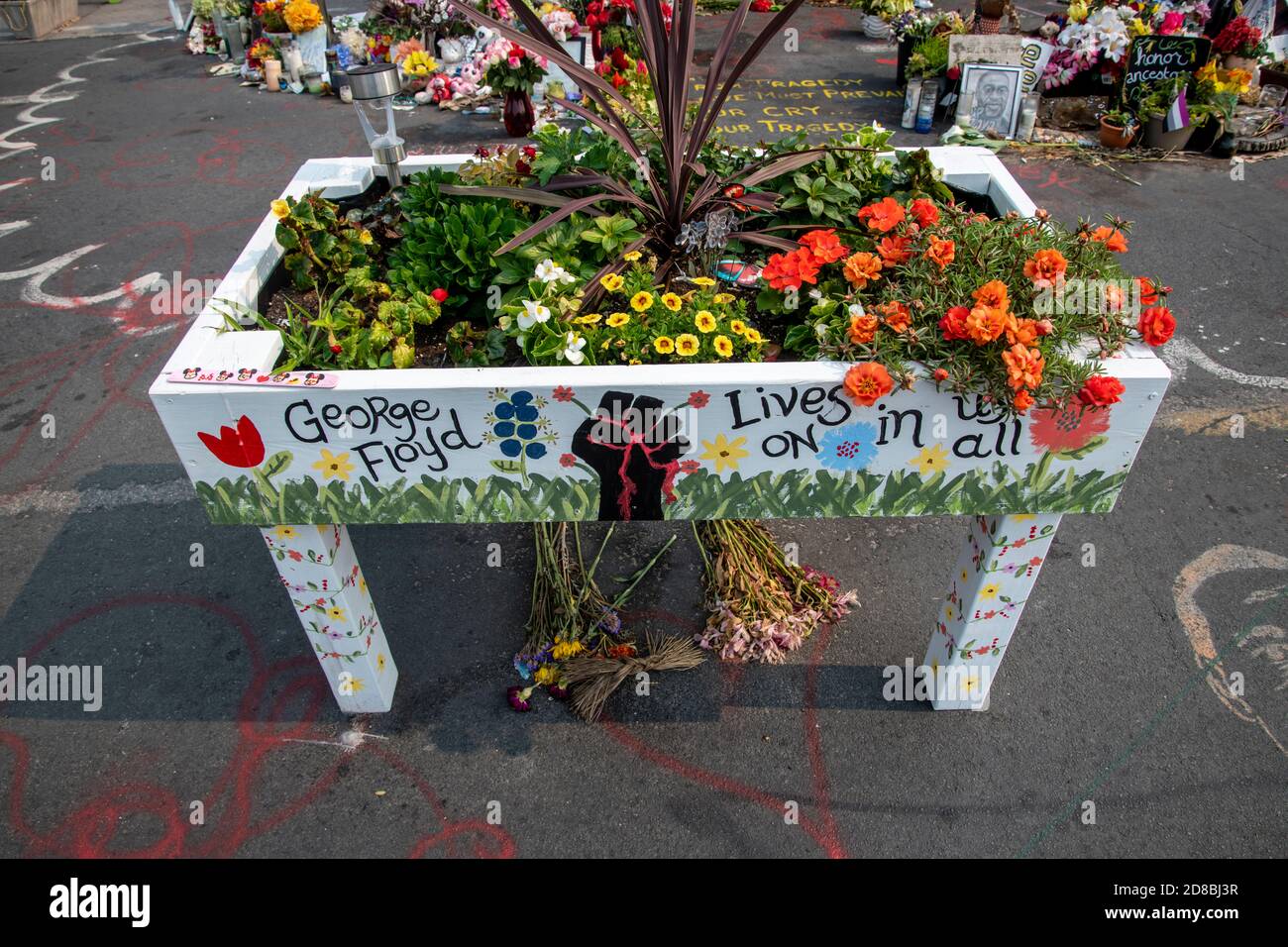 Minneapolis, Minnesota. Flower memorial for George Floyd killed by police. Stock Photo