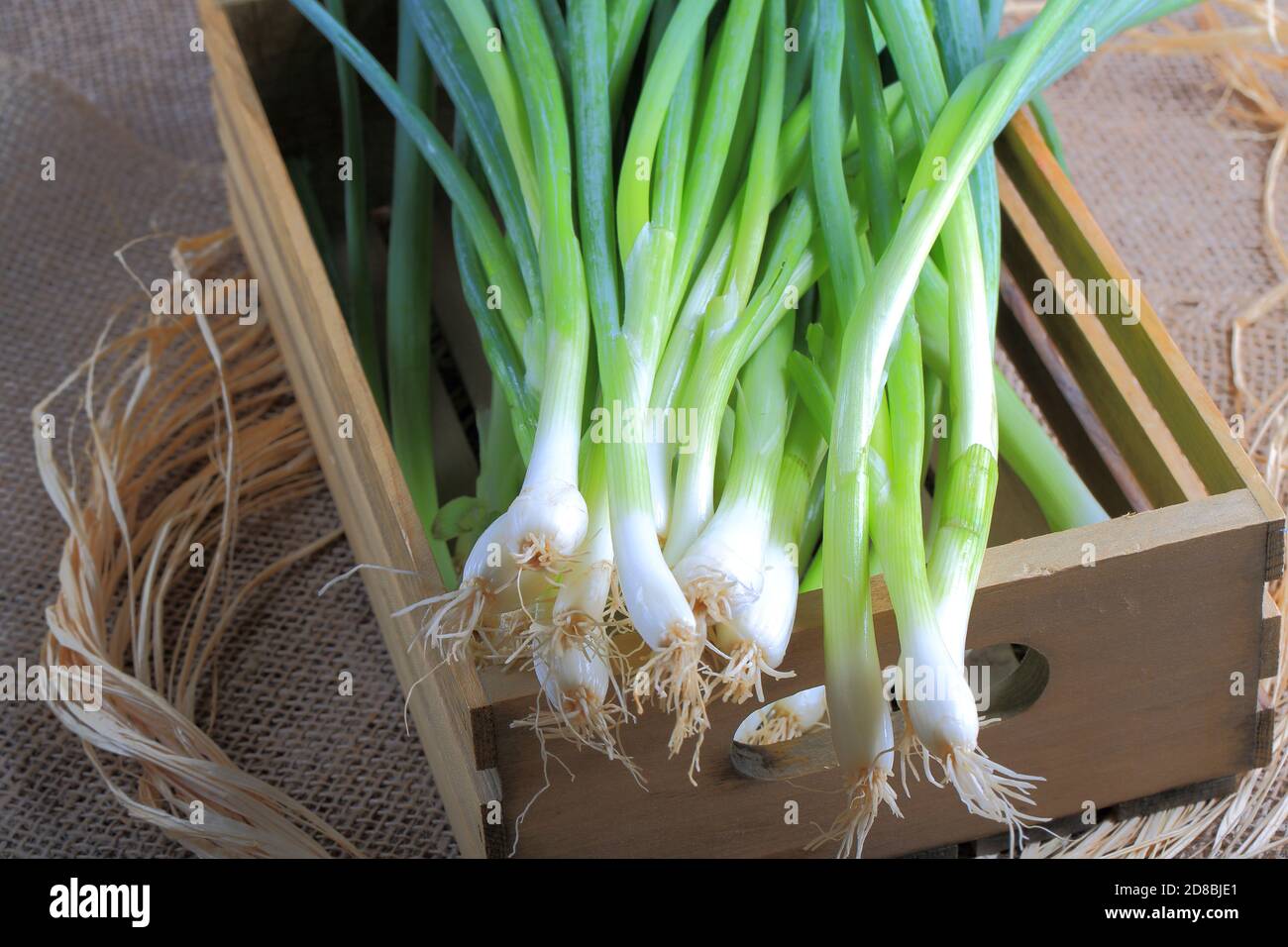Bunch of Fresh Organic Green Onions Stock Photo - Alamy