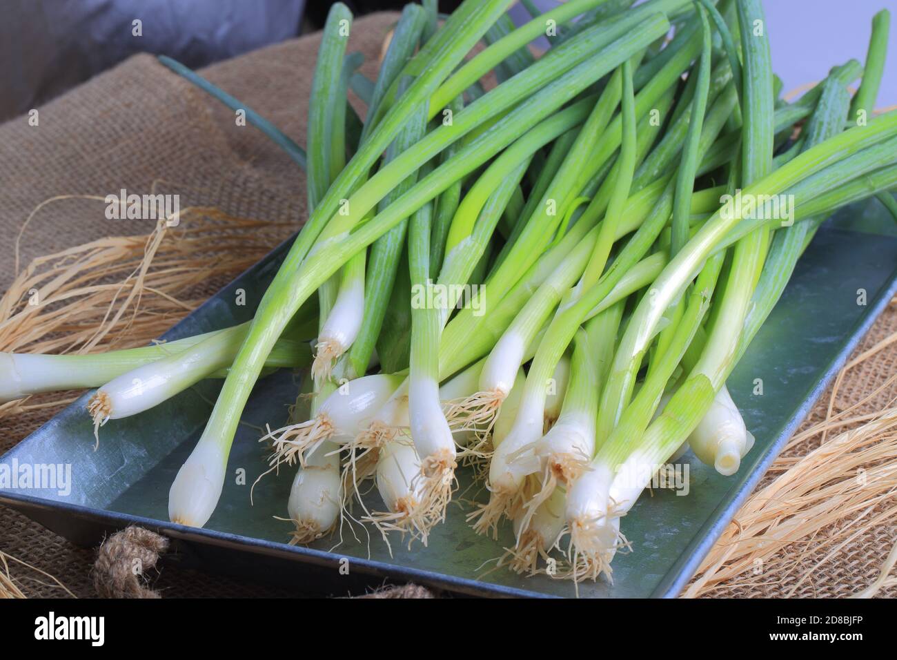 Bunch of Fresh Organic Green Onions Stock Photo - Alamy