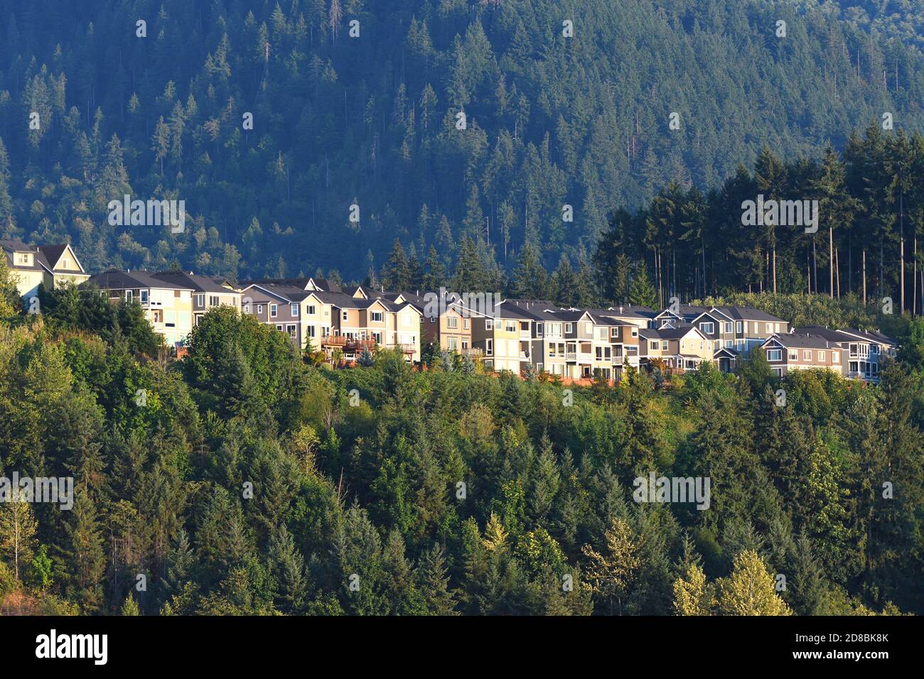 Issaquah Highlands Residential Area, Washington-USA Stock Photo