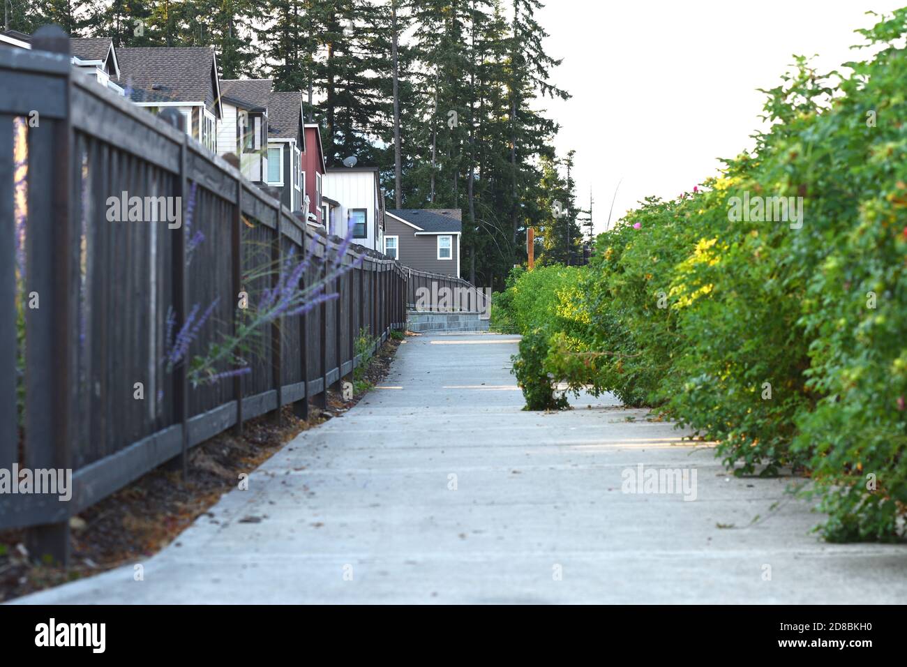 Issaquah Highlands Residential Area, Washington-USA Stock Photo