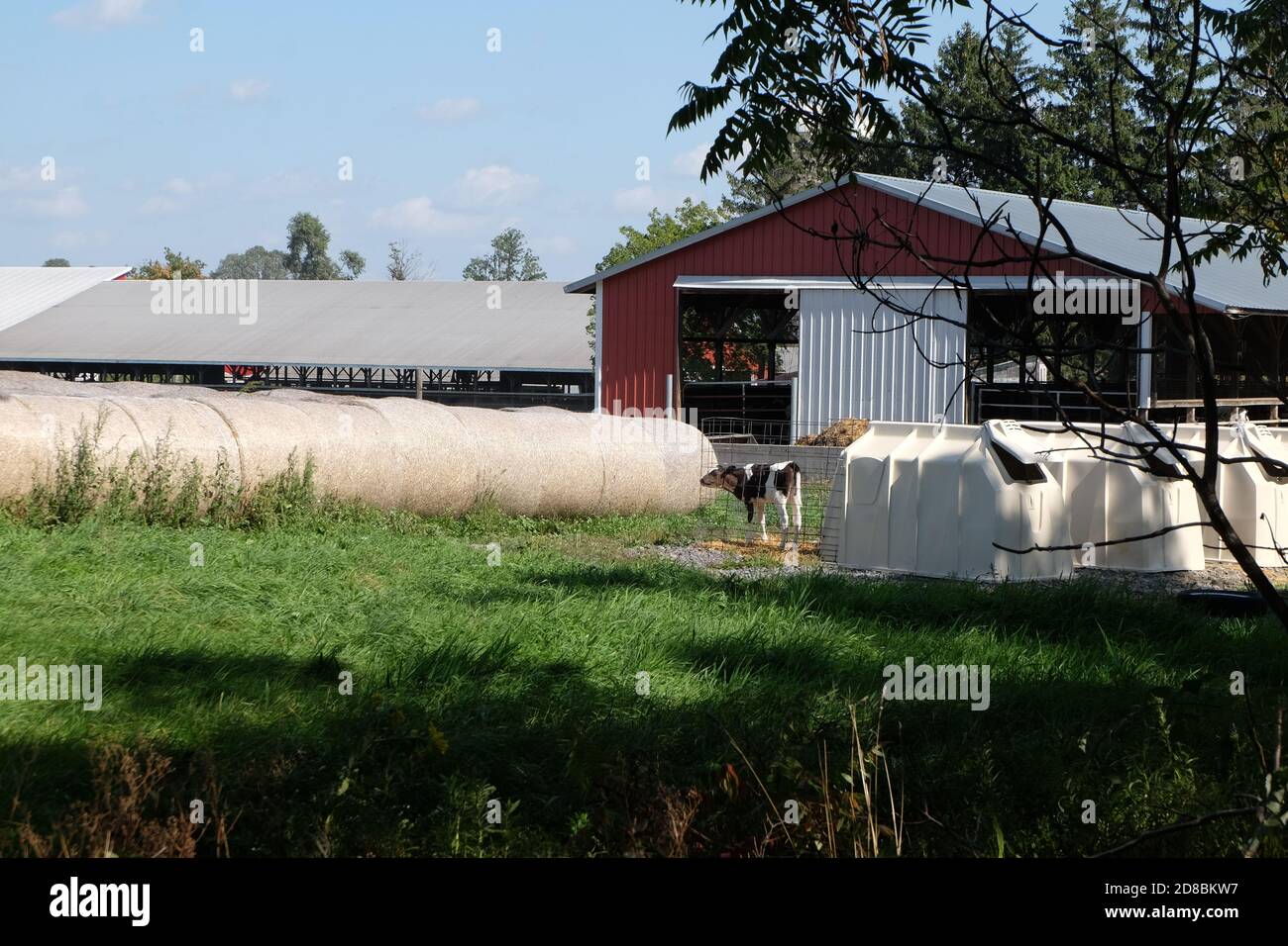 a farm along the Ontario rail trail bikeway, New York Stock Photo