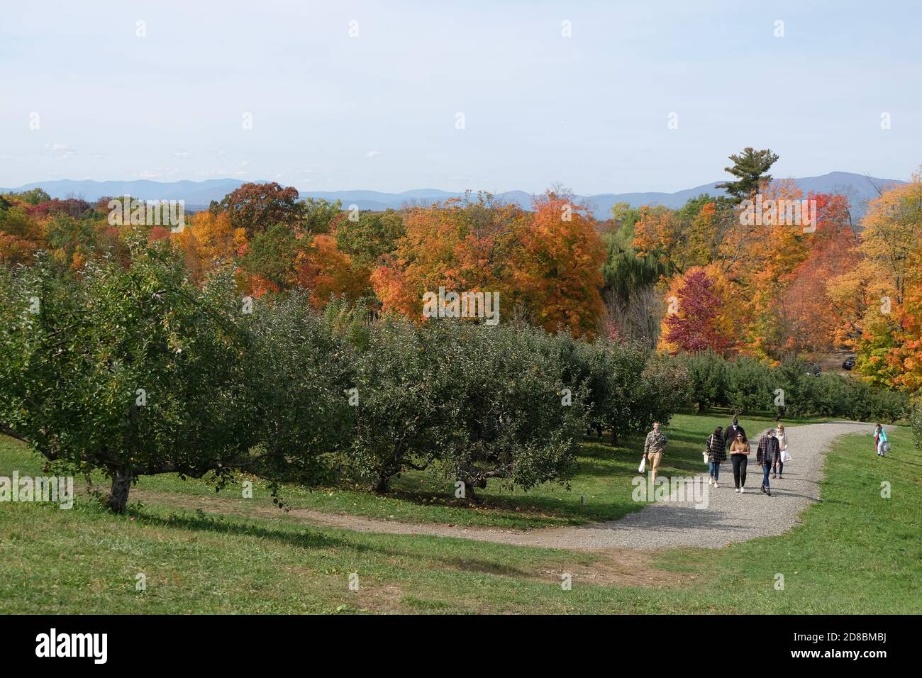 rose hill orchard in Red Hook, NY Stock Photo Alamy