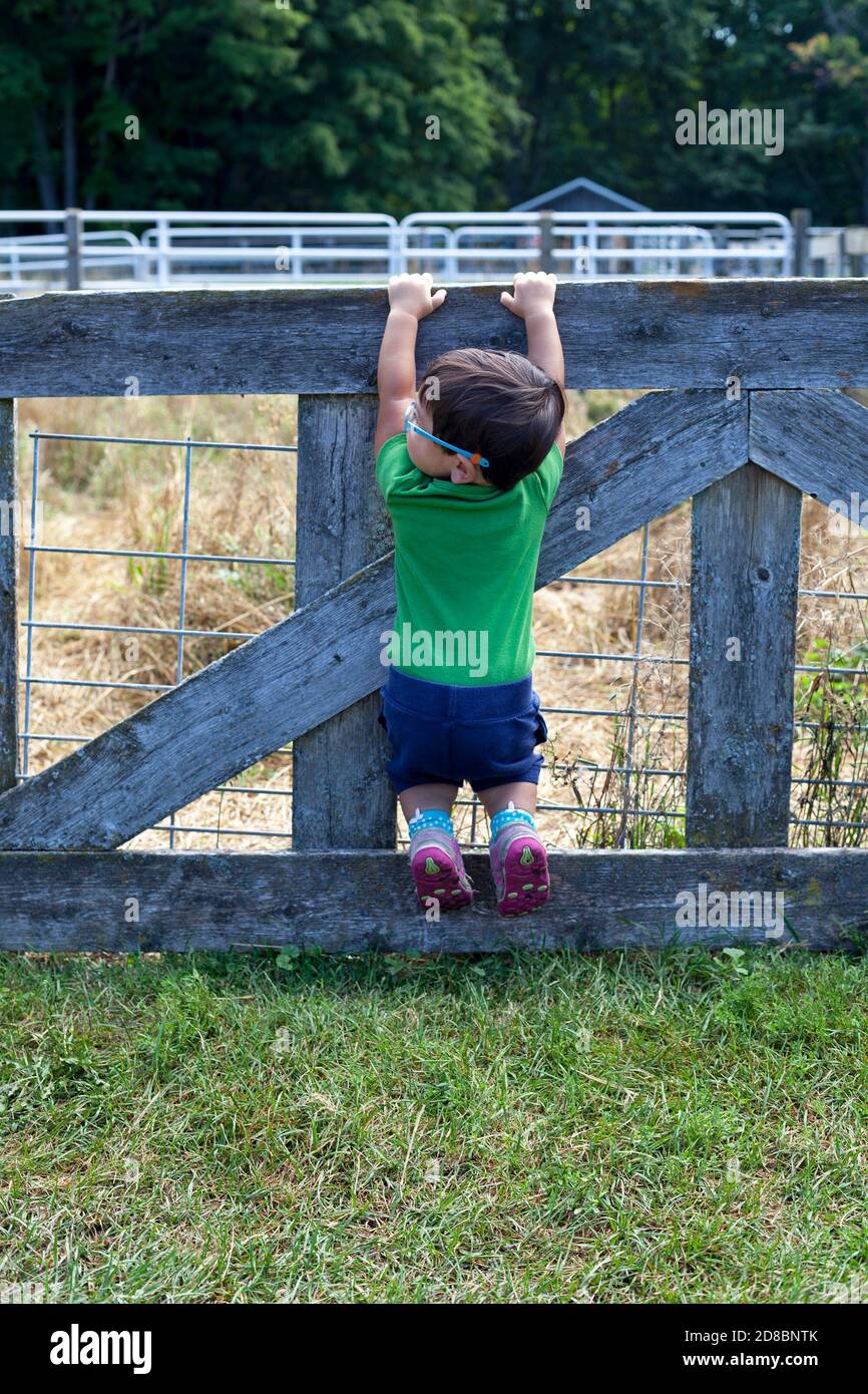 A boy plays on a fence at The Farm in Sturgeon Bay, Wisconsin, USA. Stock Photo
