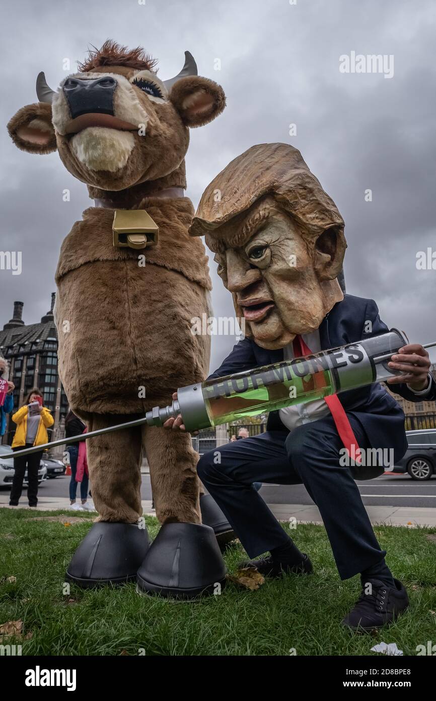 ‘Stop The US Trade Deal’ protest in Parliament Square featuring a Donald Trump caricature trying to inject a pantomime cow with growth hormones, UK. Stock Photo