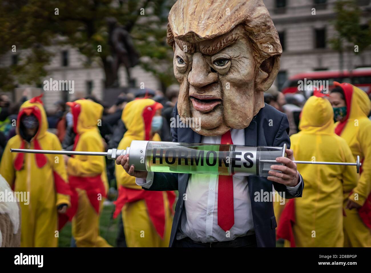 ‘Stop The US Trade Deal’ protest in Parliament Square featuring a Donald Trump caricature trying to inject a pantomime cow with growth hormones, UK. Stock Photo