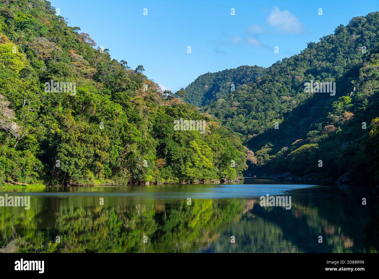 Rainforest slopes lining Barron River below Barron River Falls, Cairns, North Queensland, Australia Stock Photo