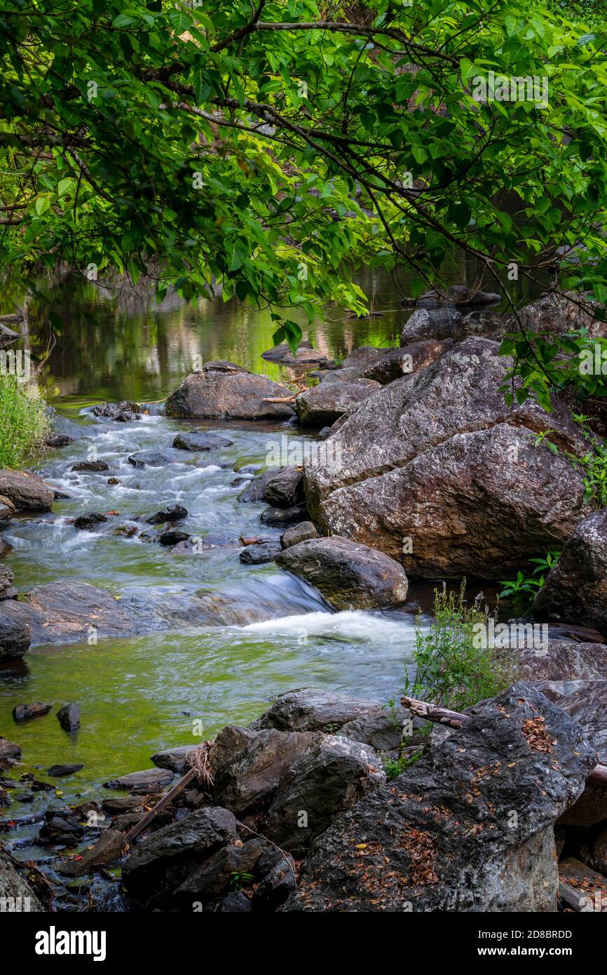 Rainforest creek at Crystal Cascades, Cairns, North Queensland Stock Photo