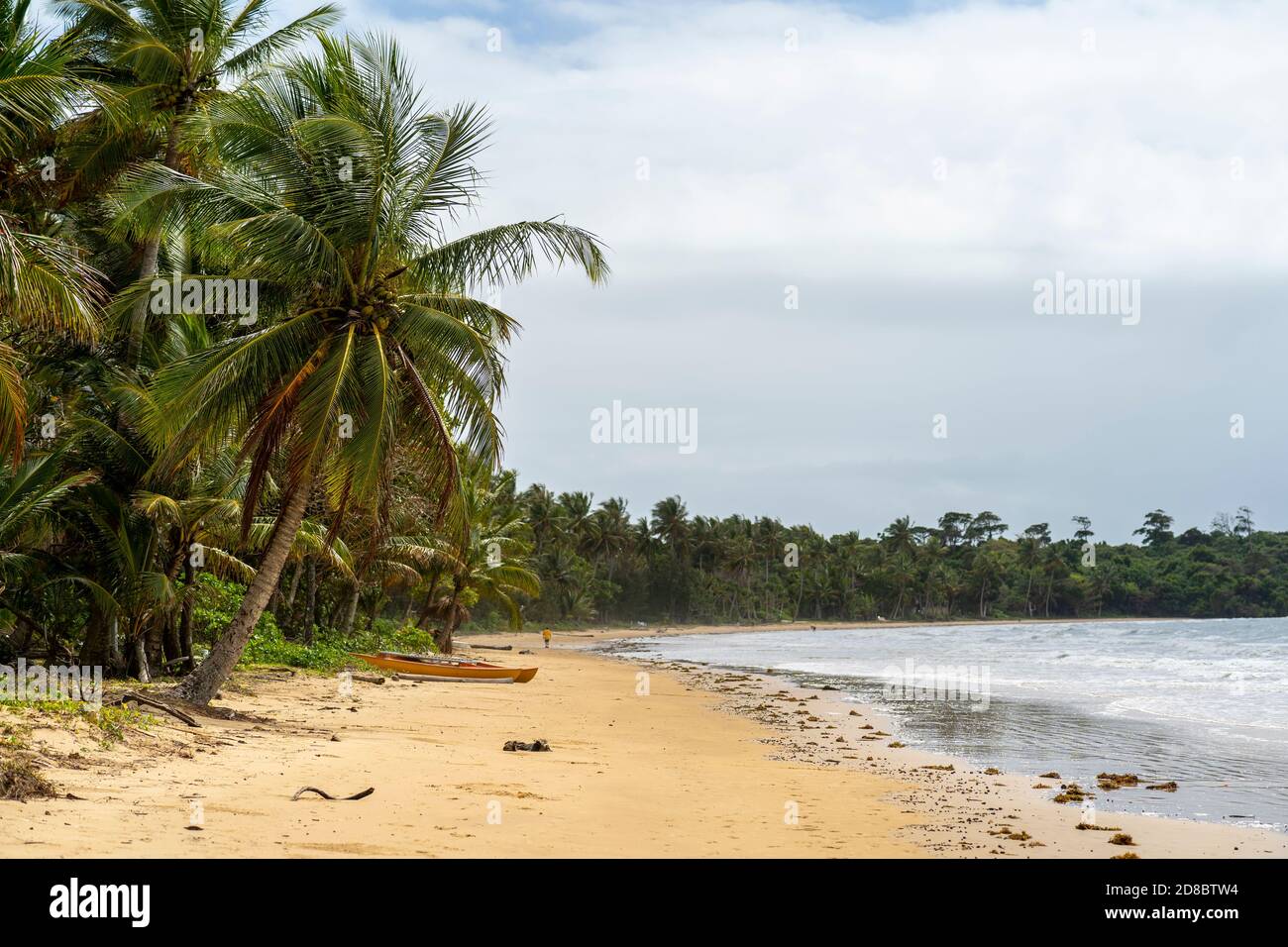 Palm tree lining shoreline at Mission Beach on cloudy day, North