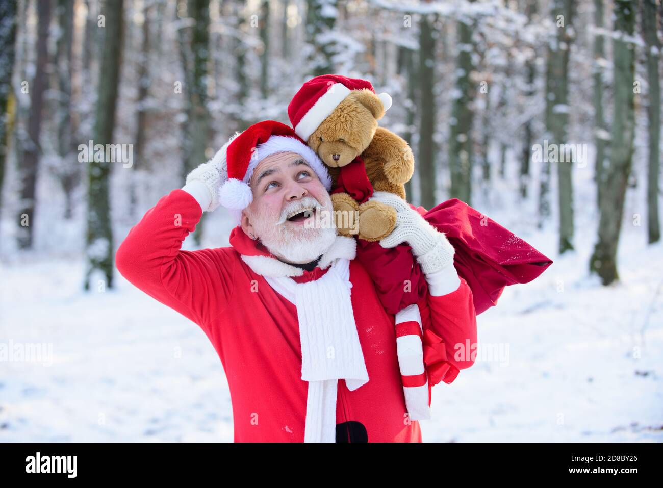 Santa Claus with teddy bear walk in the winter mountains snow in ...