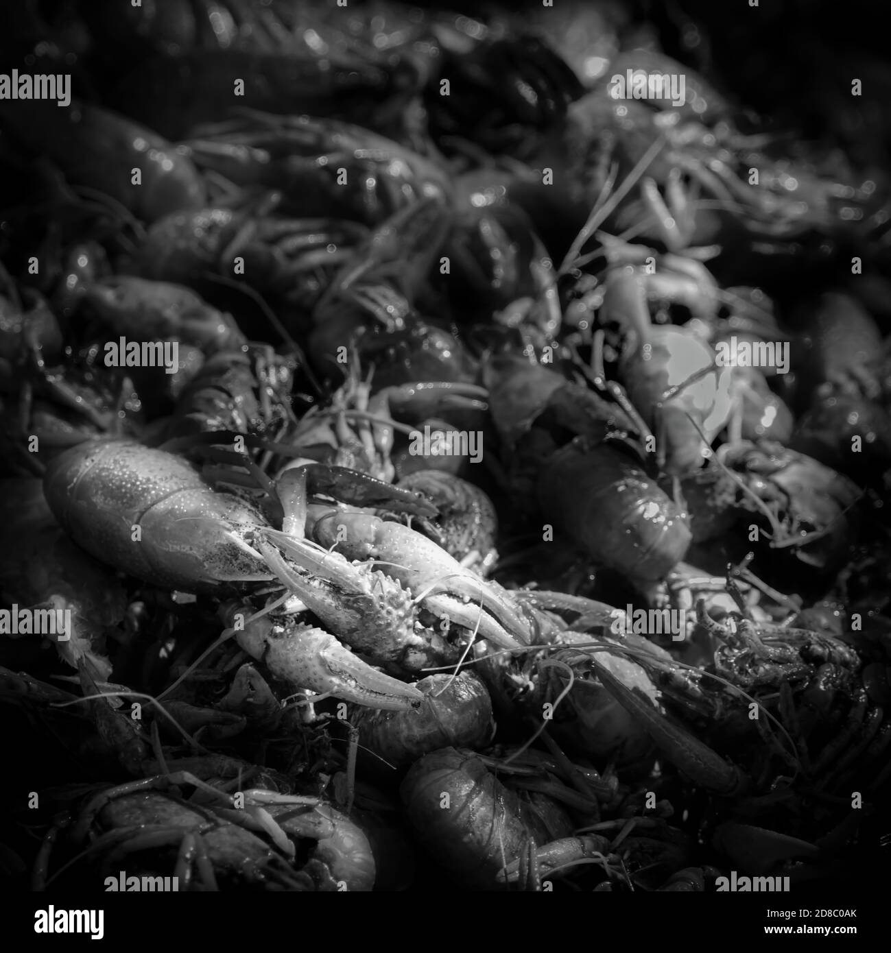 A crab boil sits on the table ready for eating. Stock Photo