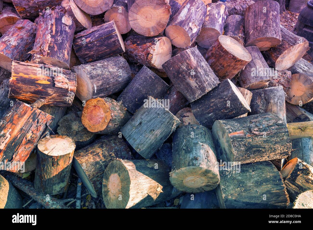 Preparing Firewood for Winter. Pile of cutting pine wood outdoors Stock Photo Alamy