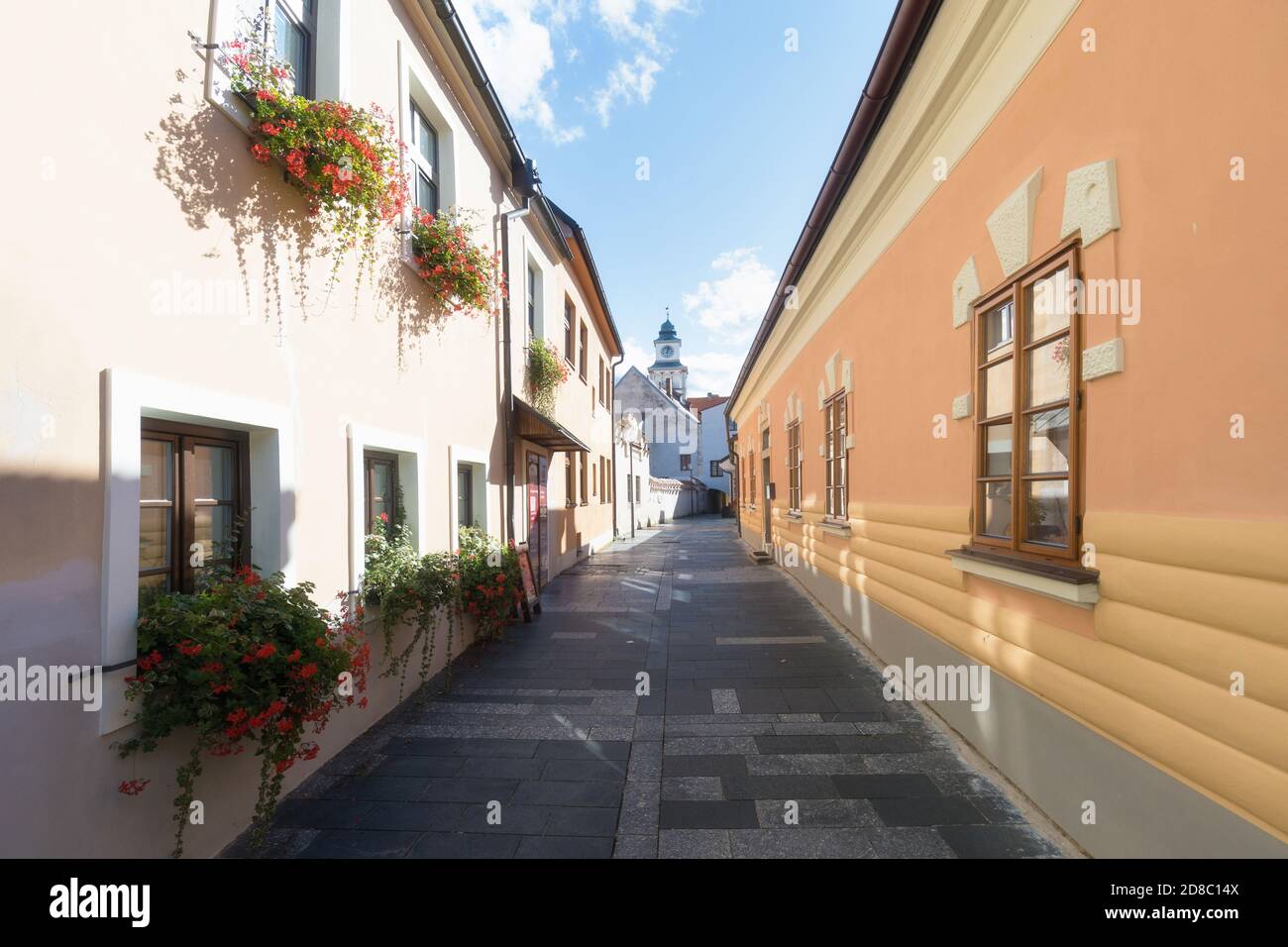 Trebone Downtown in Trebon. This is a historical town in South Bohemian Region ...