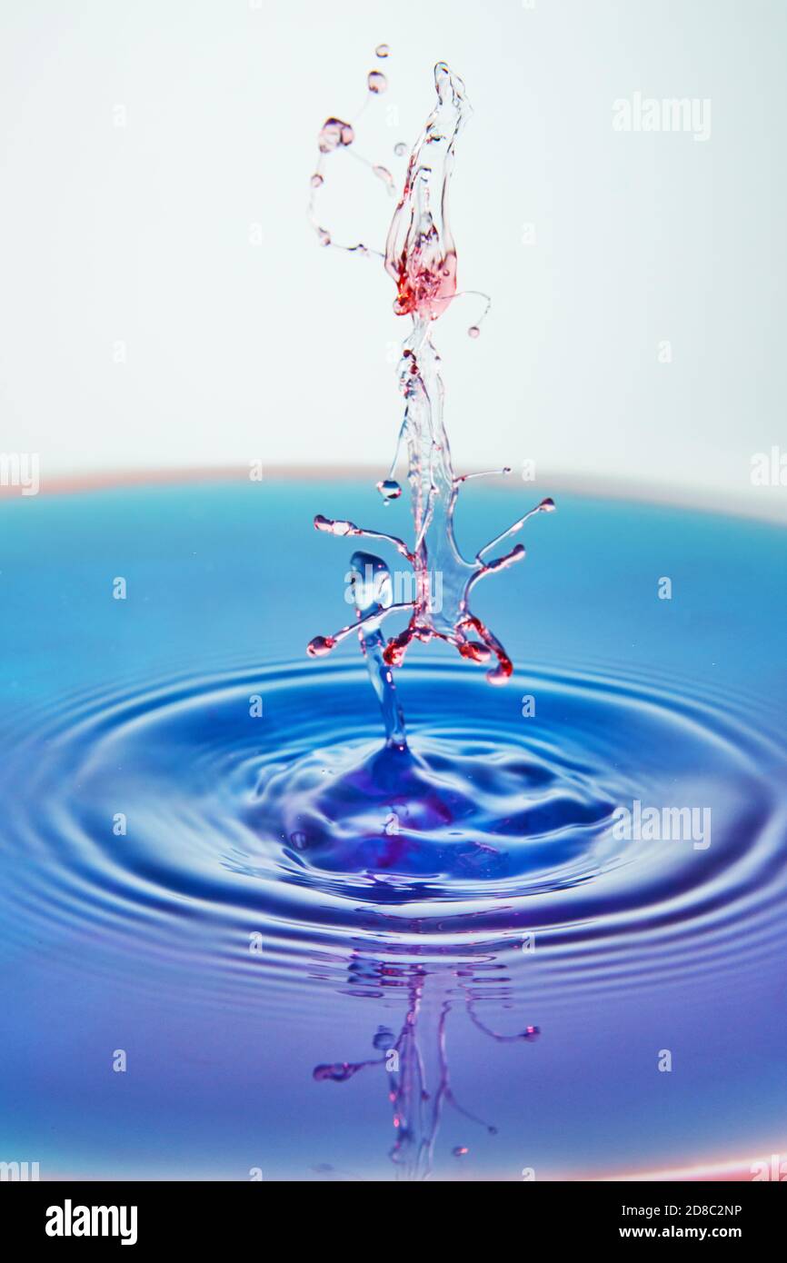 Abstract background of splash of color water, collision of colored ...